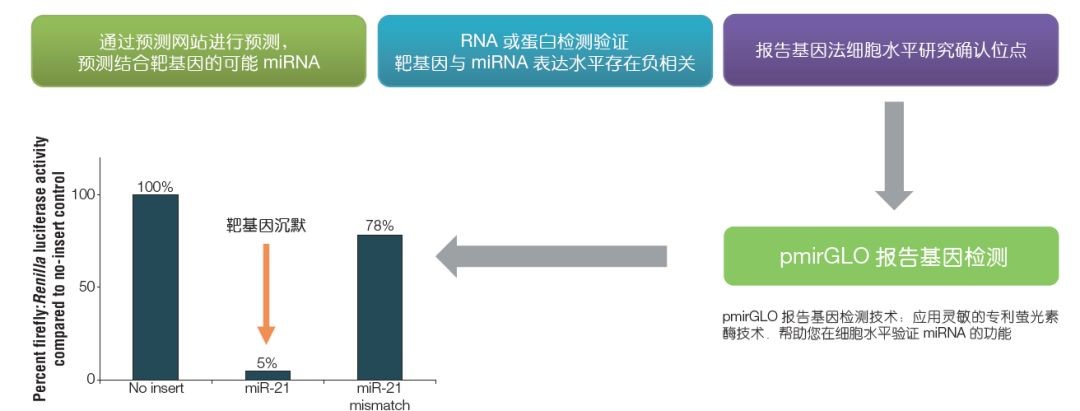 微信图片_20200820142321.jpg